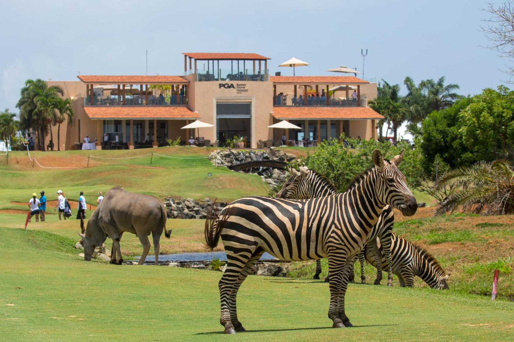 Готель Vipingo Ridge Limited Кіліфі Екстер'єр фото